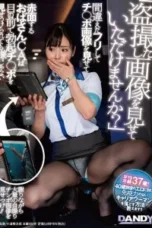 DANDY-889-e1700818825111